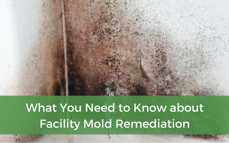 facility mold remediation